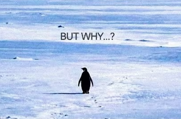 Screenshot 2026 01 28 130008 Hiexams